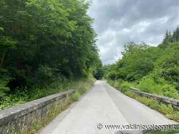 Comune taglia l'erba nelle rotatorie provinciali e chiede un incontro per il ponte all'Abate - valdinievoleoggi.it