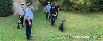 Erba, i cani antidroga al parco Majnoni Il sindaco: «Voglio anche le foto trappole» - La Provincia di Como