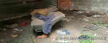 Erba, dai boschi alle imprese chiuse Blitz anti droga della polizia locale - La Provincia di Como