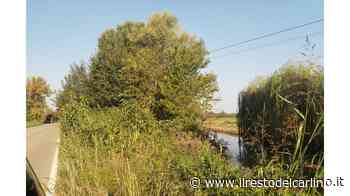 "Erba alta, visibilità ridotta e colpe della politica" - il Resto del Carlino