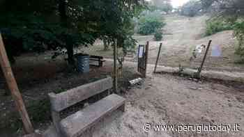 Il Comune interviene prontamente, sfalcia l'erba, porta via le panchine ammalorate e le sostituisce - PerugiaToday