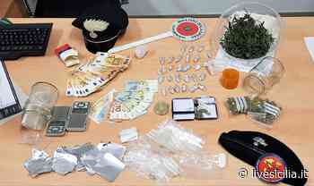 Nascondeva in casa erba|Carabinieri arrestano 22enne - Live Sicilia