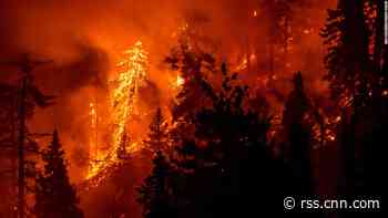Wildfire-weary Californians, 'tired of this being normal,' consider uprooting their lives