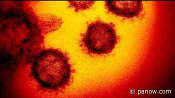 11 new COVID-19 cases, 2 from outbreak in Saskatoon - paNOW