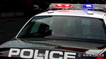 Police from across GTA help Hamilton police disperse large crowd at 'impromptu car show'