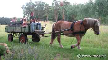 Wirtschaft: Ein Fahrplan für Lindows Tourismus - Märkische Onlinezeitung