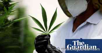 Medical cannabis companies cleared for London stock market - The Guardian