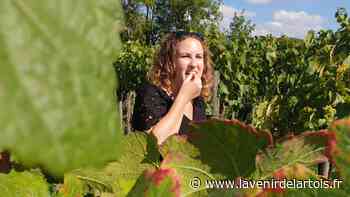 À Arras, le nouveau vigneron de Cité nature est une vigneronne - L'Avenir de l'Artois