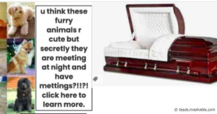 4th graders made their own clickbait headlines and they're way better than ours