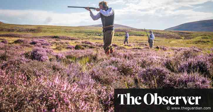 Ministers accused of blocking plans to ban burning of UK peatlands