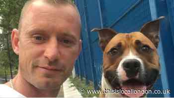 Scaffold company fined after Cricklewood fatal fall