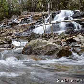 Algoma Highlands Conservancy Seeks Qualified Individuals to Fill Board Vacancies
