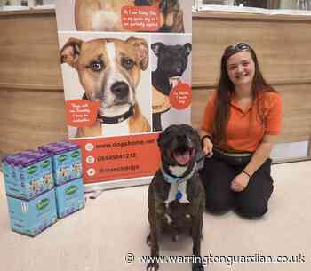 Cheshire Dogs' Home is sparkling clean thanks to Zoflora donation