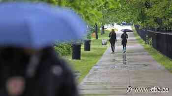 Teddy forecast to bring heavy rain, wind to parts of Atlantic Canada