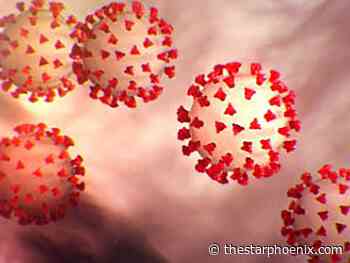 SHA warns of potential COVID-19 exposure at Saskatoon, P.A., Waskesiu businesses