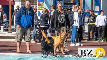 Wenn Hunde in Wolfsburg zu Wasserratten werden
