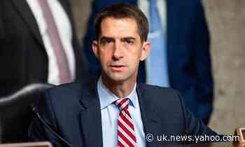 Tom Cotton: Democrats &#39;rioting in the streets&#39; as supreme court battle heats up