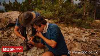 West Coast fires: How we outran a California wildfire