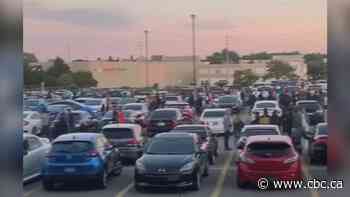Hamilton police investigate 'Mega Meet' car show that drew hundreds of vehicles to Ancaster