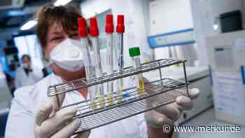 Coronavirus: Pflanzliches Medikament als Wundermittel? Schweizer Labor überrascht mit Erkenntnissen - Merkur.de