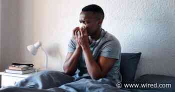 Colds Nearly Vanished Under Lockdown. Now They’re Coming Back
