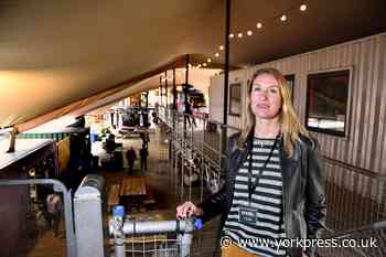 Spark:York shuts for roof to be raised