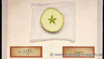 Wie Manager die Innovationsfreude hochhalten können