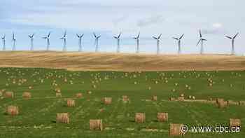 Alberta could lead Canada in wind and solar power by 2025, expert says