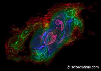 Seeing the Dark Regions of the Universe: The Cold Case of Carbon Monoxide