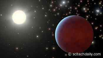 Stellar Phosphorus Guides Search for Potentially Habitable Exoplanets