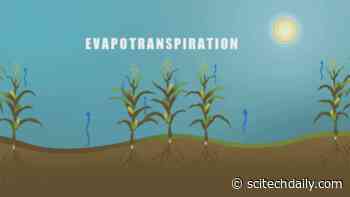 OpenET: Transforming Water Management in the U.S. West With NASA Data