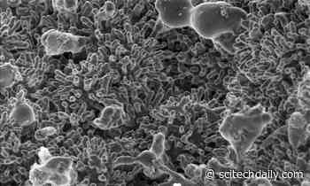 How to Harness the Power of Biosolids to Make Hydrogen From Wastewater