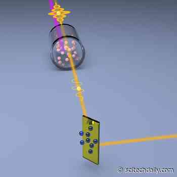 Quantum Enhanced Atomic Force Microscopy: Squeezed Light Reduces Noise