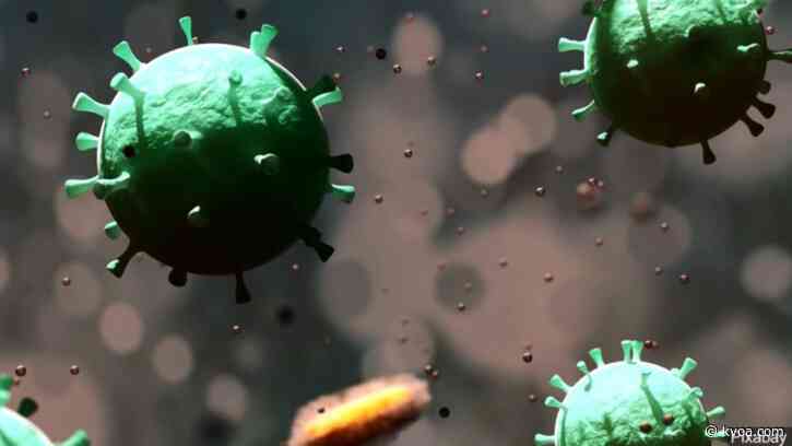 Arizona logs 233 new coronavirus cases Monday, 2 deaths