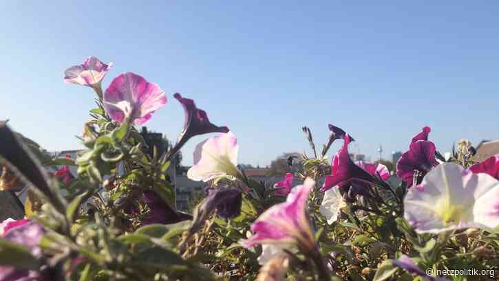 Was vom Tage übrig blieb: Verdreht, verpasst, verurteilt