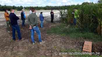 Landbouwers uit Beernem slaan koolstof op in de bodem in de strijd tegen de klimaatopwarming - Landbouwleven