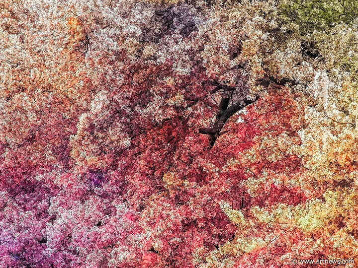 Algorithms Can’t Automate Beauty