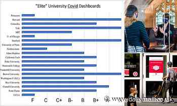 Yale and Harvard researchers create site ranking COVID-19 dashboards