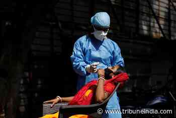 Chandigarh reports 240 new coronavirus cases, three deaths - The Tribune India