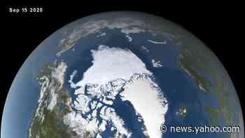 'A crazy year up north:' Arctic sea ice shrinks to 2nd-lowest level on record