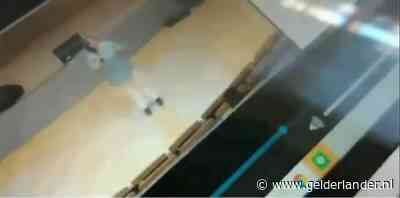 Hogeschool in opspraak om uitspraken docente: ‘Waarom zou ik Baudet niet mogen vermoorden?’