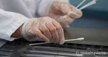 Saskatchewan reports 7 new coronavirus cases, some linked to outbreak at Saskatoon workplace