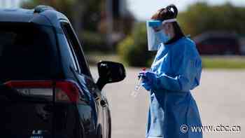 COVID-19 in Sask: 17 cases in Saskatoon area now connected to Brandt Industries