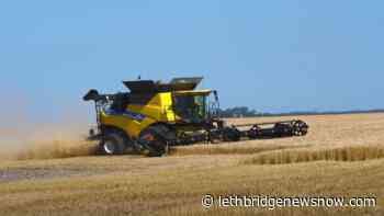 Speech from the Combine: from Grain Growers of Canada - Lethbridge News Now
