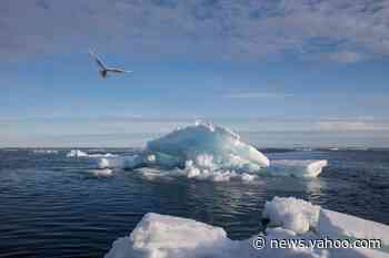 'A Climate Emergency Unfolding Before Our Eyes.' Arctic Sea Ice Has Shrunk to Almost Historic Levels
