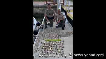 Three jailed after being caught with 109 undersized lobsters in the Keys, police say