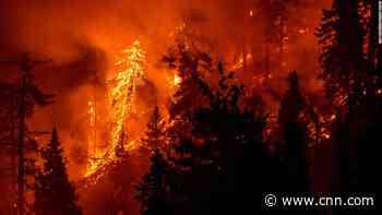 Scientists say Californians moving is just the beginning of a larger trend. Here's what it means