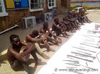 Military arrest 11 suspected members of a cult group in Jos - Vanguard