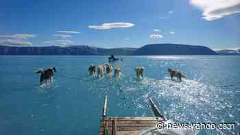 Arctic summer sea ice second lowest on record: US researchers