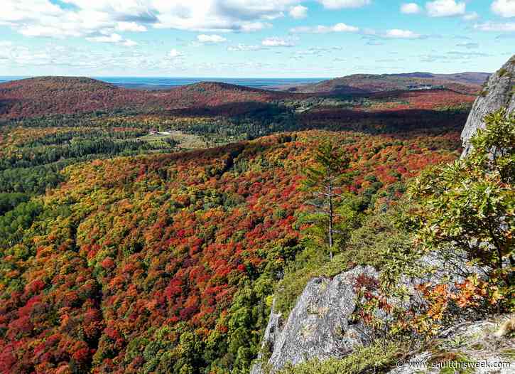 Conservancy seeks board members with expertise